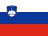 Slovenia flag