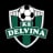 Delvina logo