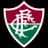 Fluminense logo