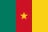 Cameroon logo