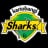 Kariobangi Sharks logo