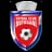 FC Botosani logo