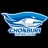 Chonburi FC logo