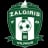 Žalgiris II logo
