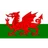 Wales U19 logo