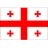 Georgia logo
