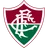 Fluminense logo