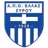 Ellas Syros logo