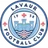 Lavaur logo