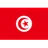 Tunisia logo