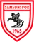 Samsunspor logo