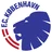 FC Copenhagen logo