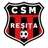 CSM Reşiţa logo