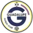 Guadalupe FC logo