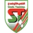 Stade Tunisien logo